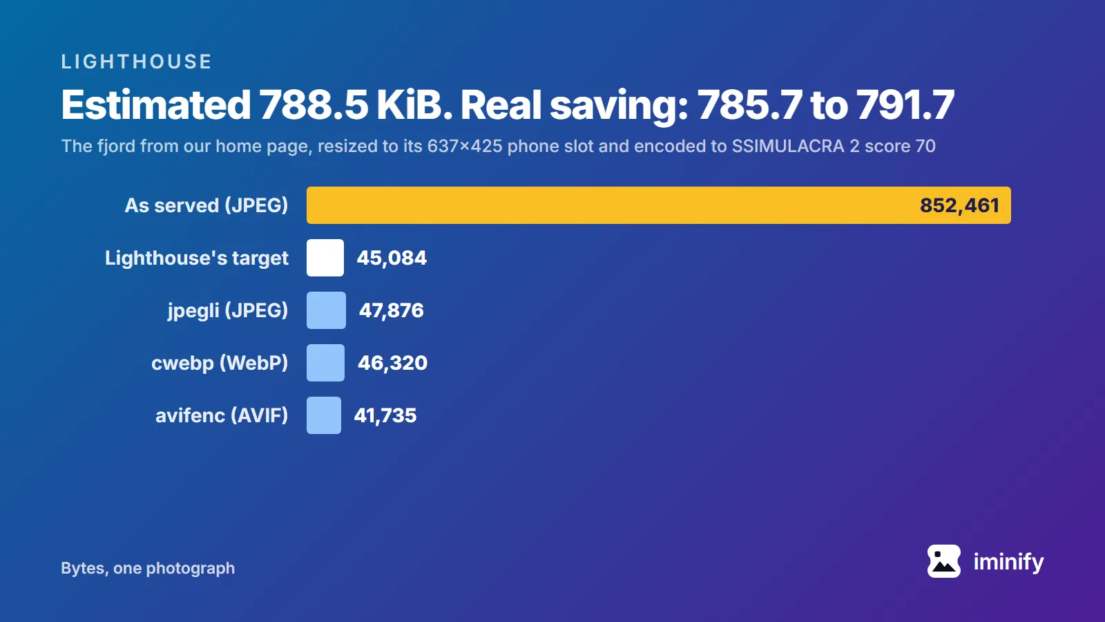 Bar chart of one photograph in bytes: 852,461 as served, against Lighthouse's target of 45,084 at its phone slot and encodes of 47,876 (JPEG), 46,320 (WebP) and 41,735 (AVIF).