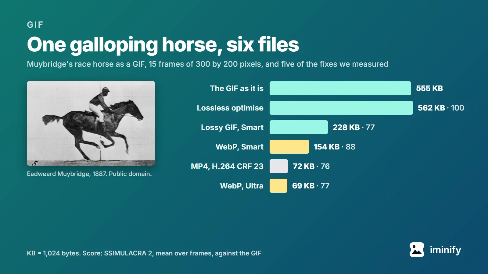 A frame of Muybridge's galloping horse beside bars for its GIF and five fixes: 555 KB as it is, 562 KB after a lossless optimise, 228 KB as a lossy GIF, 154 KB as WebP at Smart, 72 KB as MP4 and 69 KB as WebP at Ultra.